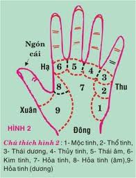 Xem chỉ tay phần 4